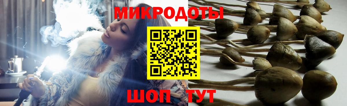 Псилоцибиновые грибы мицелий  Вход с VPN  Тихвин 